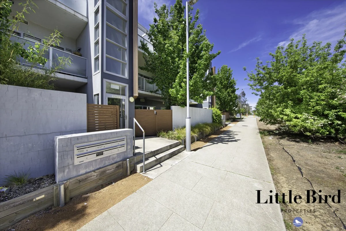 10_41 Clare Burton St Franklin_4.jpg