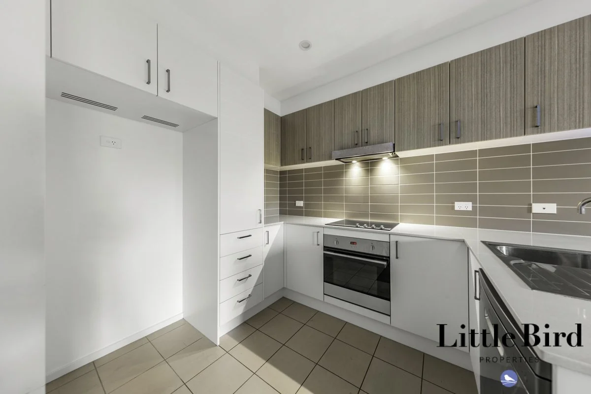 10_41 Clare Burton St Franklin_7.jpg