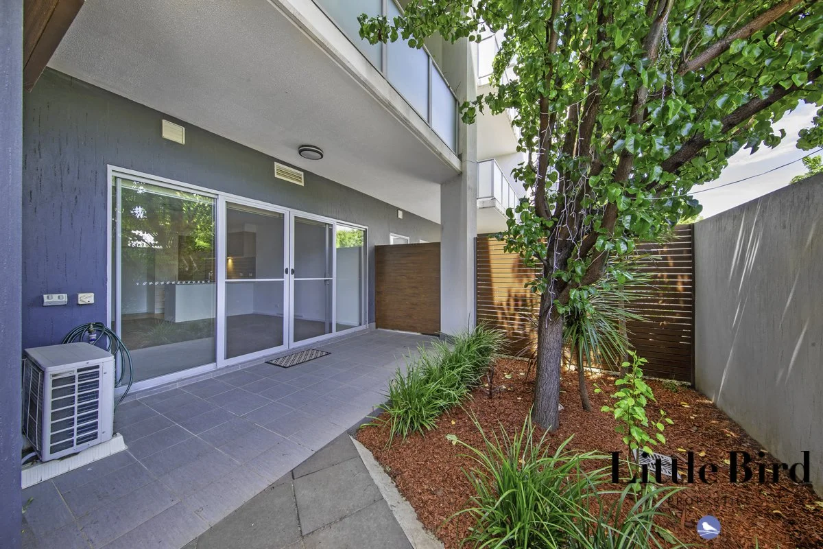 10_41 Clare Burton St Franklin_13.jpg