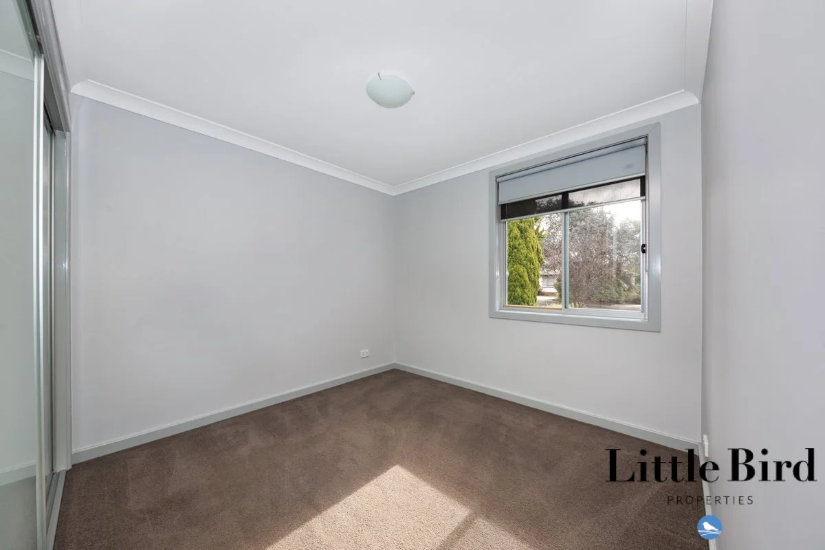 45 Tristania st Rivett_6.jpg