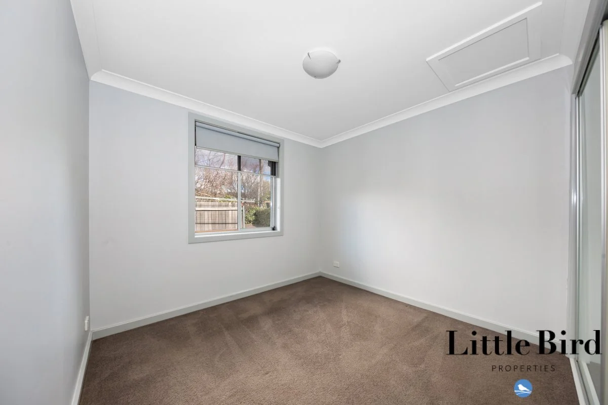 45 Tristania st Rivett_7.jpg