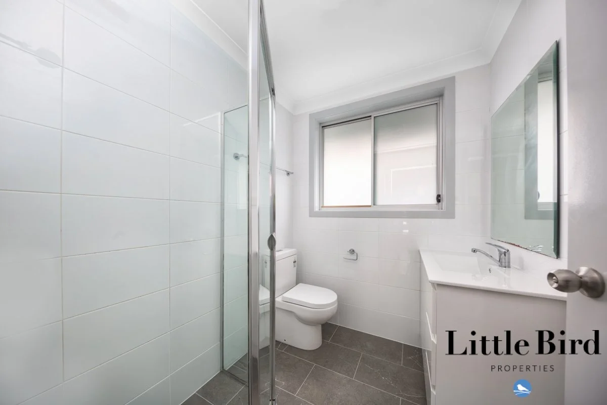 45 Tristania st Rivett_8.jpg