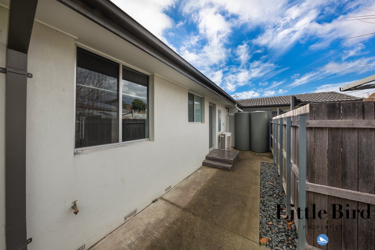 45 Tristania st Rivett_9.jpg