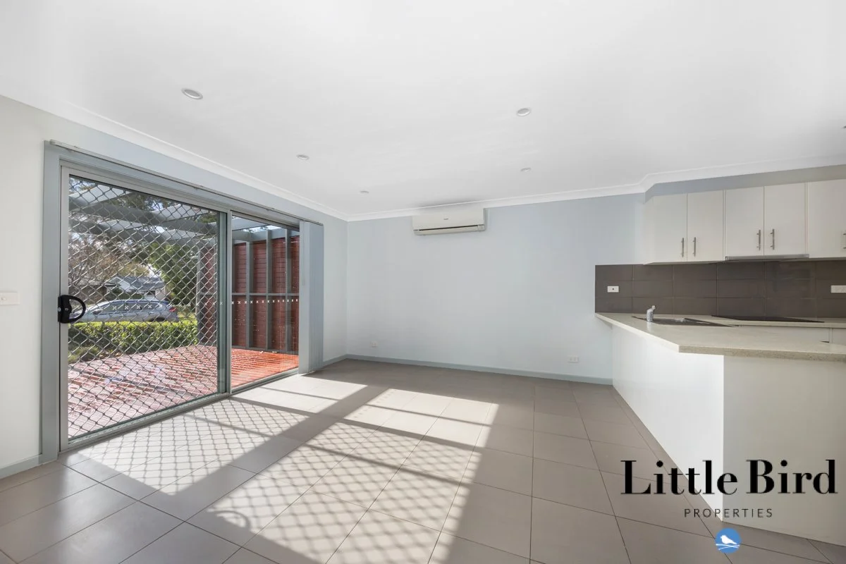 45 Tristania st Rivett_3.jpg