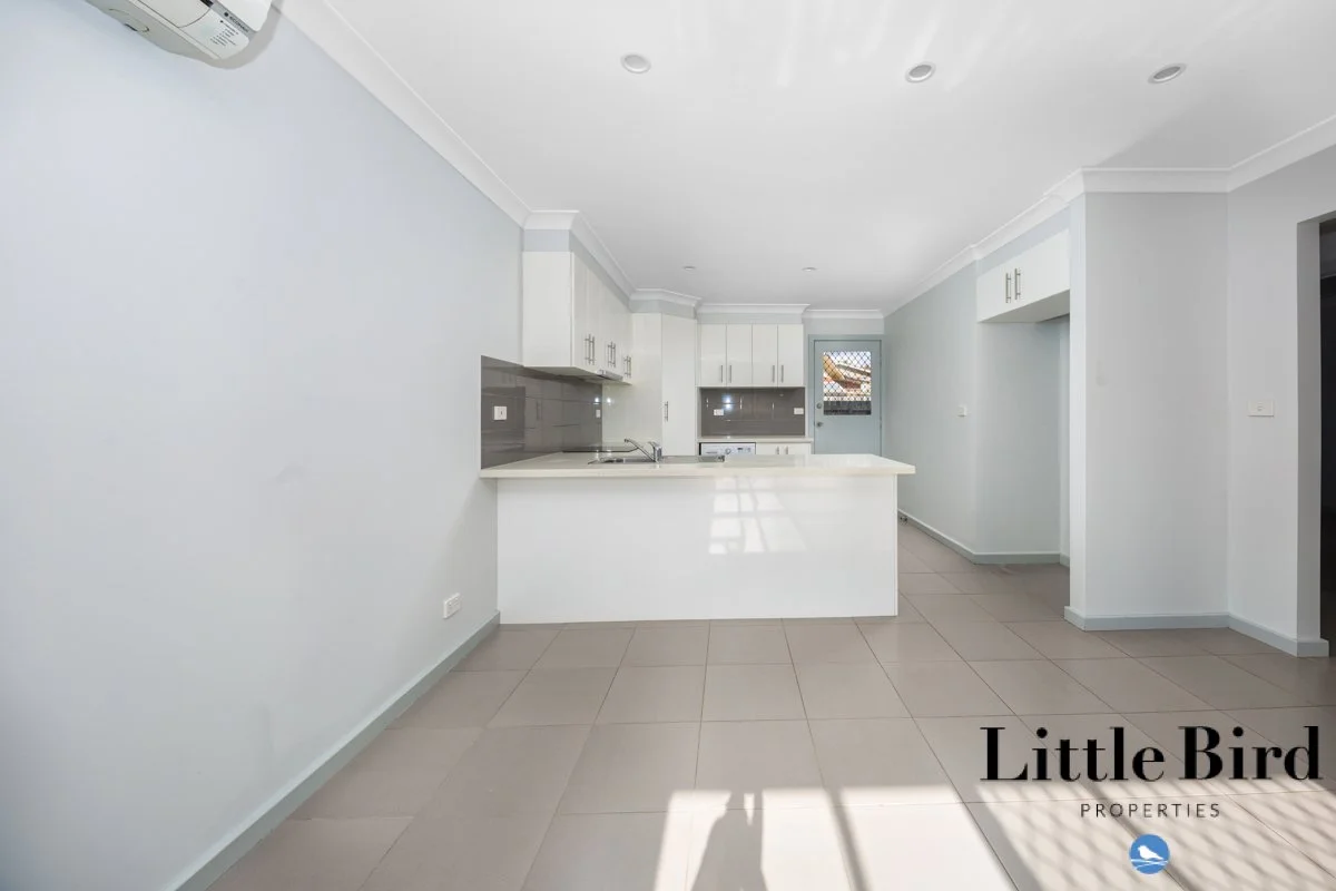 45 Tristania st Rivett_4.jpg