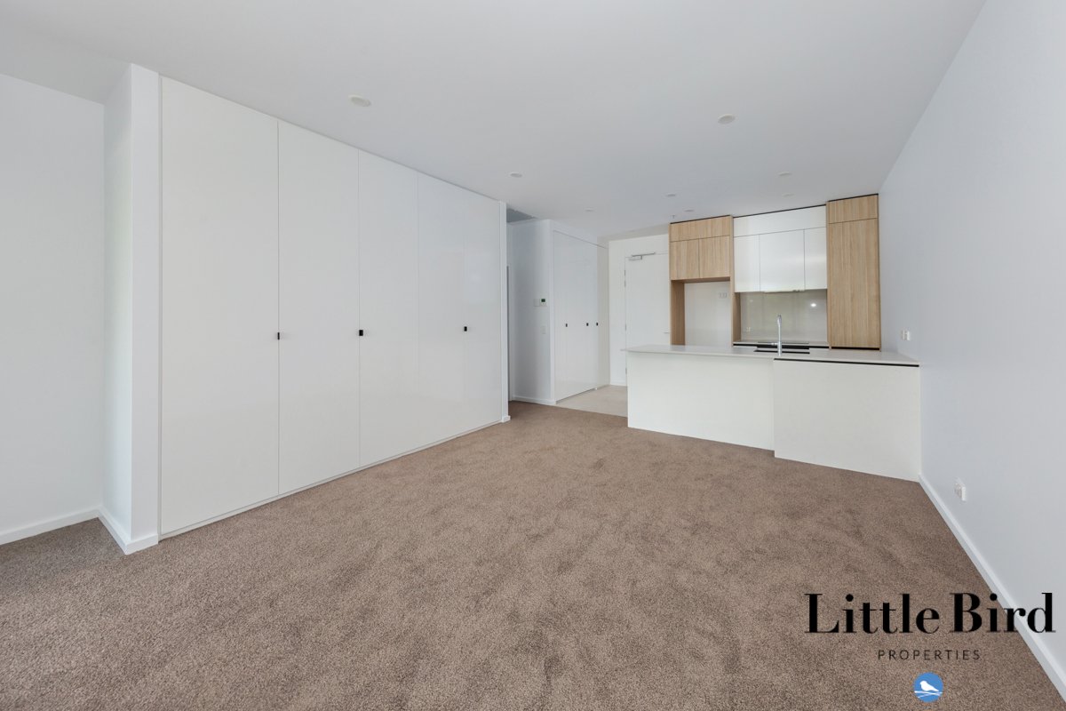 12_2 Light St Griffith_3.jpg
