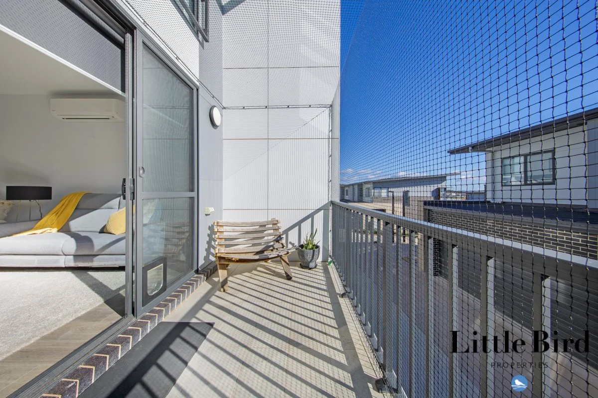30_8 Trinca St Denman_20.jpg