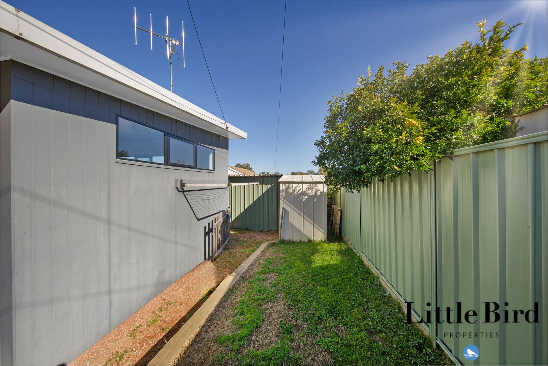 13B Elkington St Florey_19.jpg
