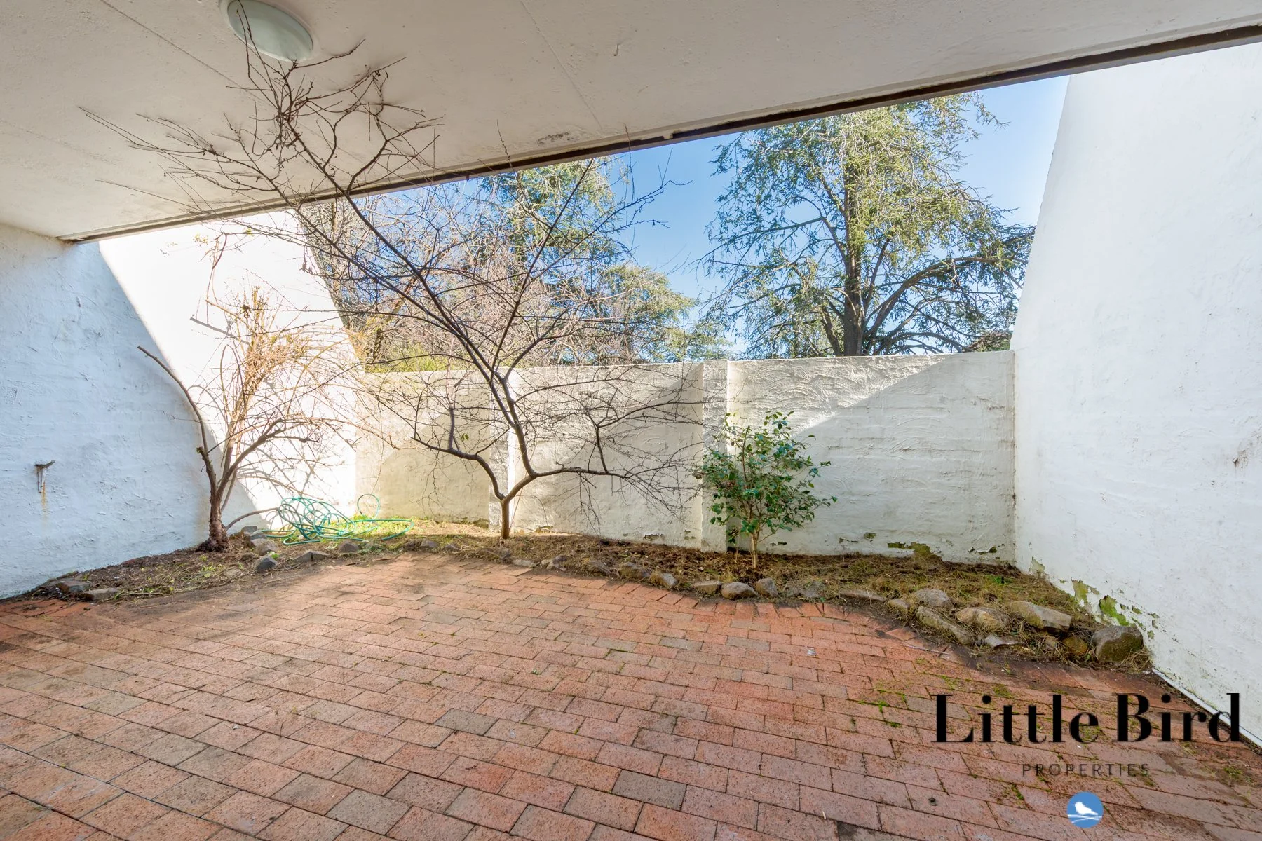 7_8 Giles St Griffith_15.jpg