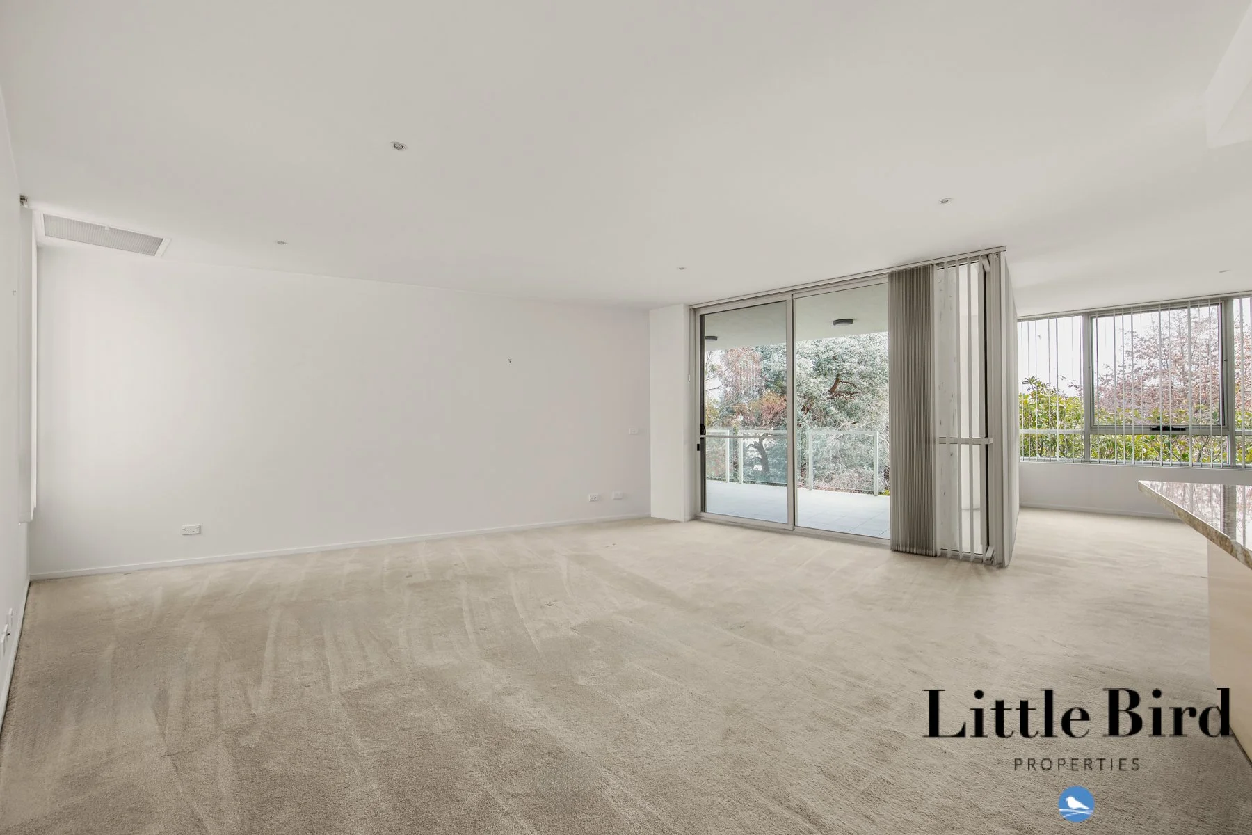 40_47 Blackall St Barton_8.jpg