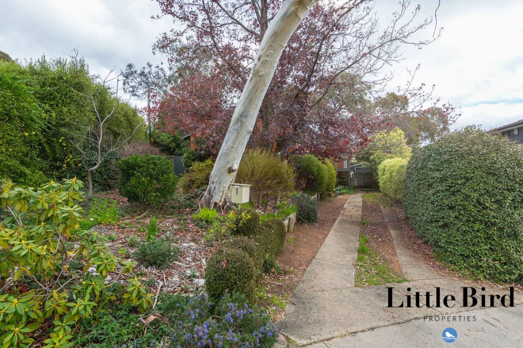 20 Pera Pl Red Hill_1.jpg