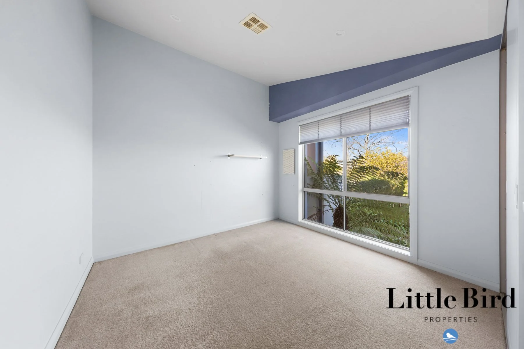 6 Moriarty St Nicholls_19.jpg