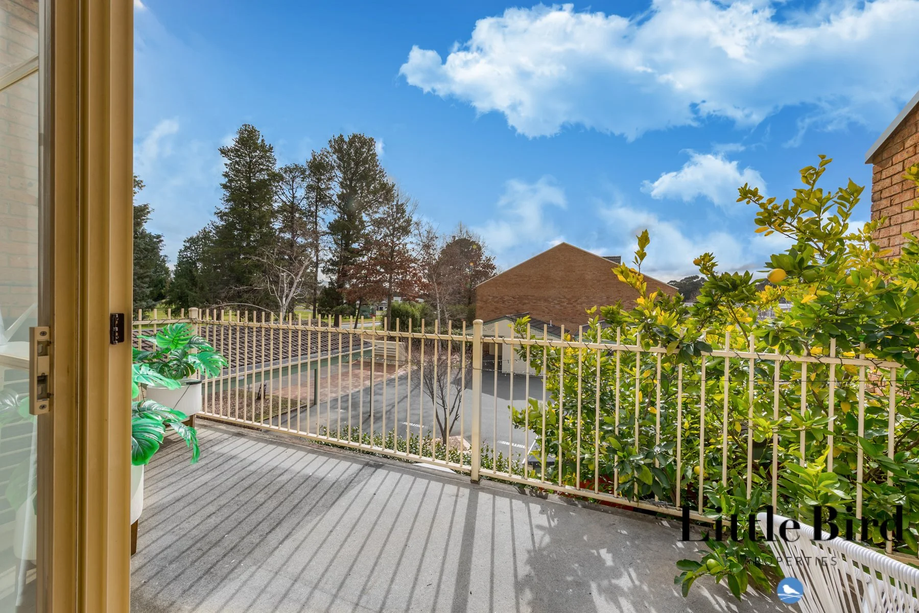 4_201 Goyder St Narrabundah_17.jpg