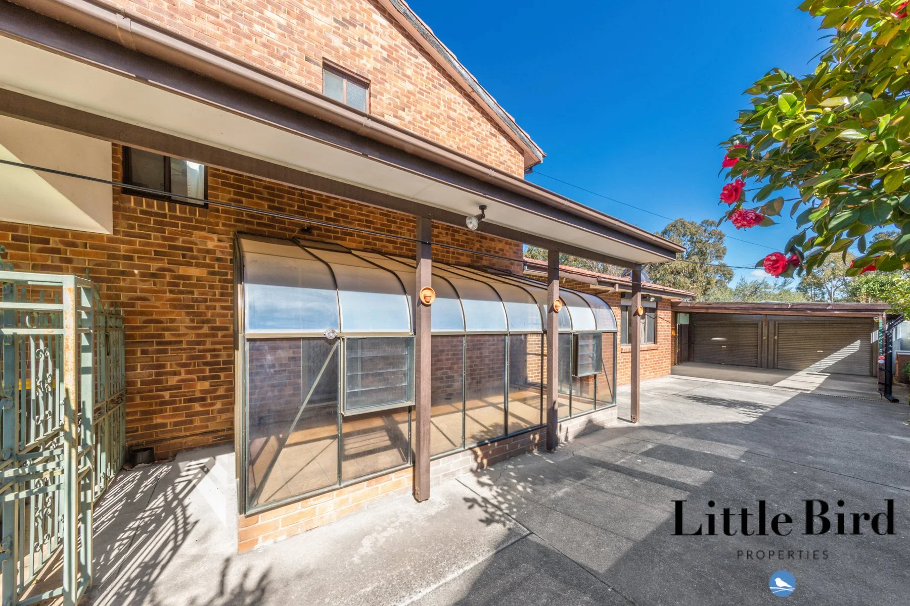 37 De Burgh st Lyneham_19.jpg