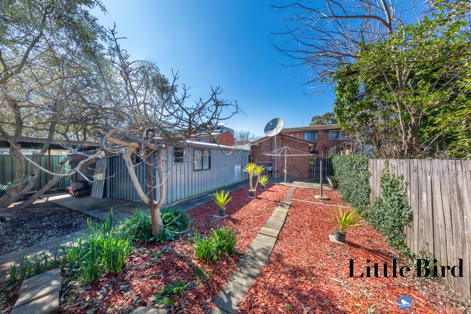 37 De Burgh st Lyneham_21.jpg