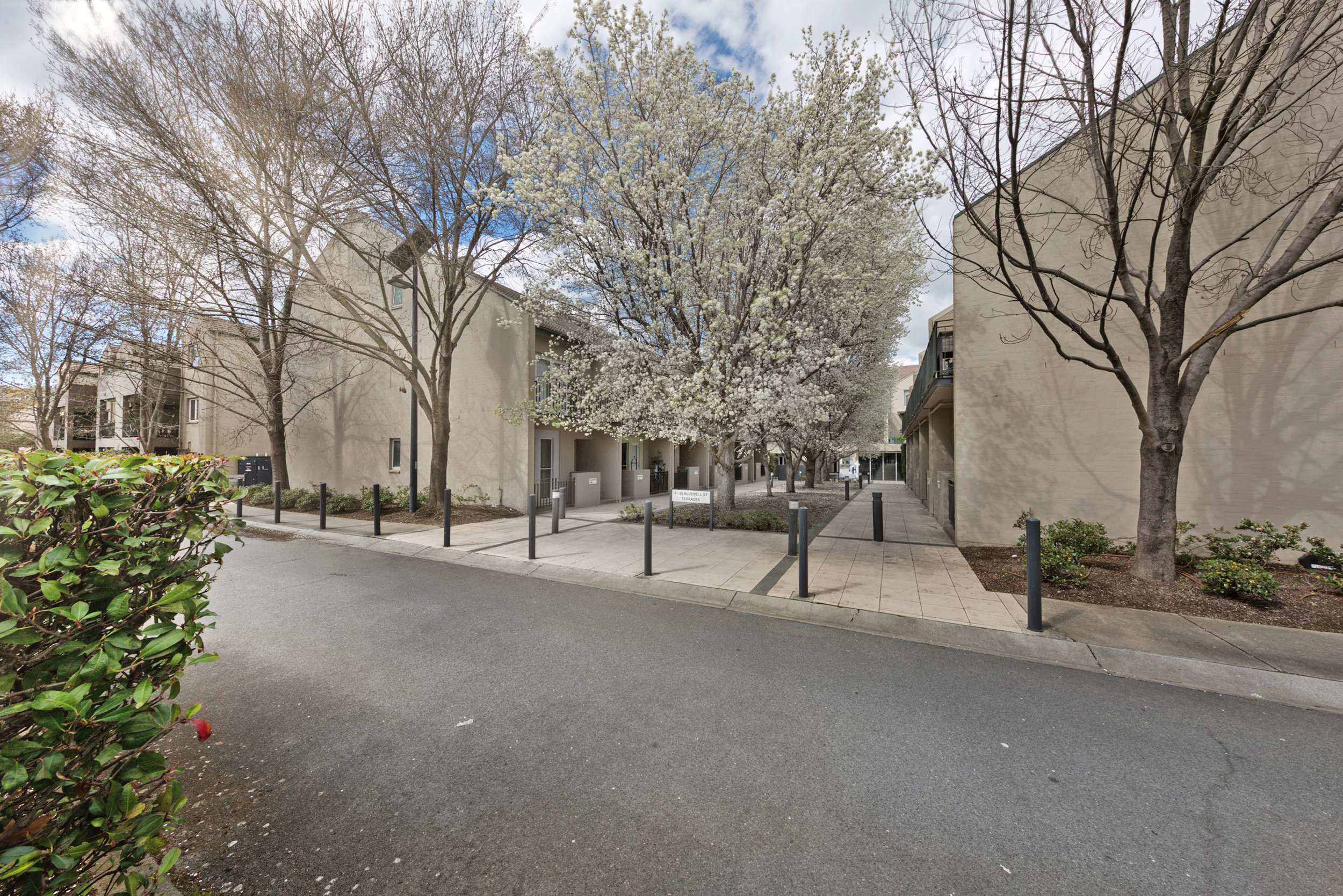 20_52 Bluebell St O'Connor_15.jpg