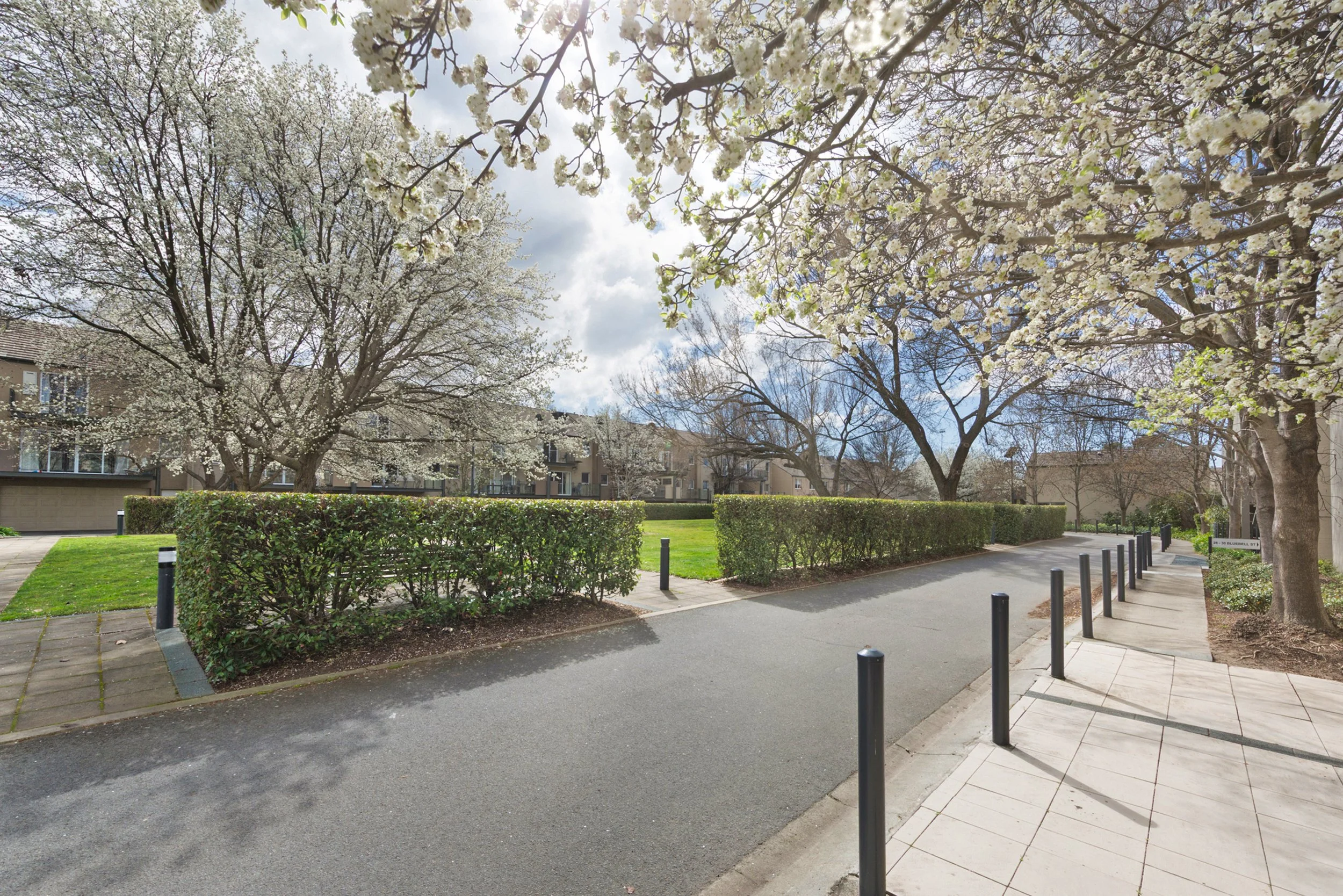 20_52 Bluebell St O'Connor_16.jpg