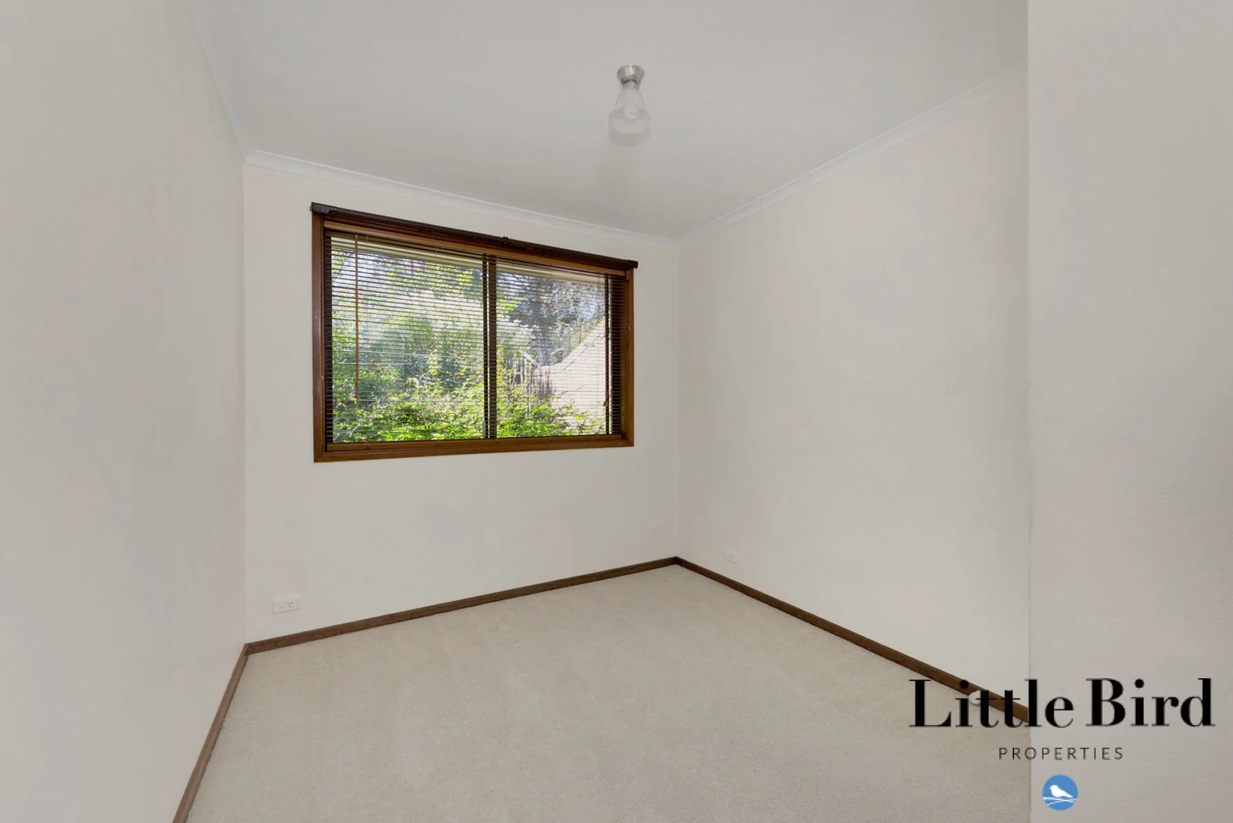 112 Dexter St Cook_11.jpg