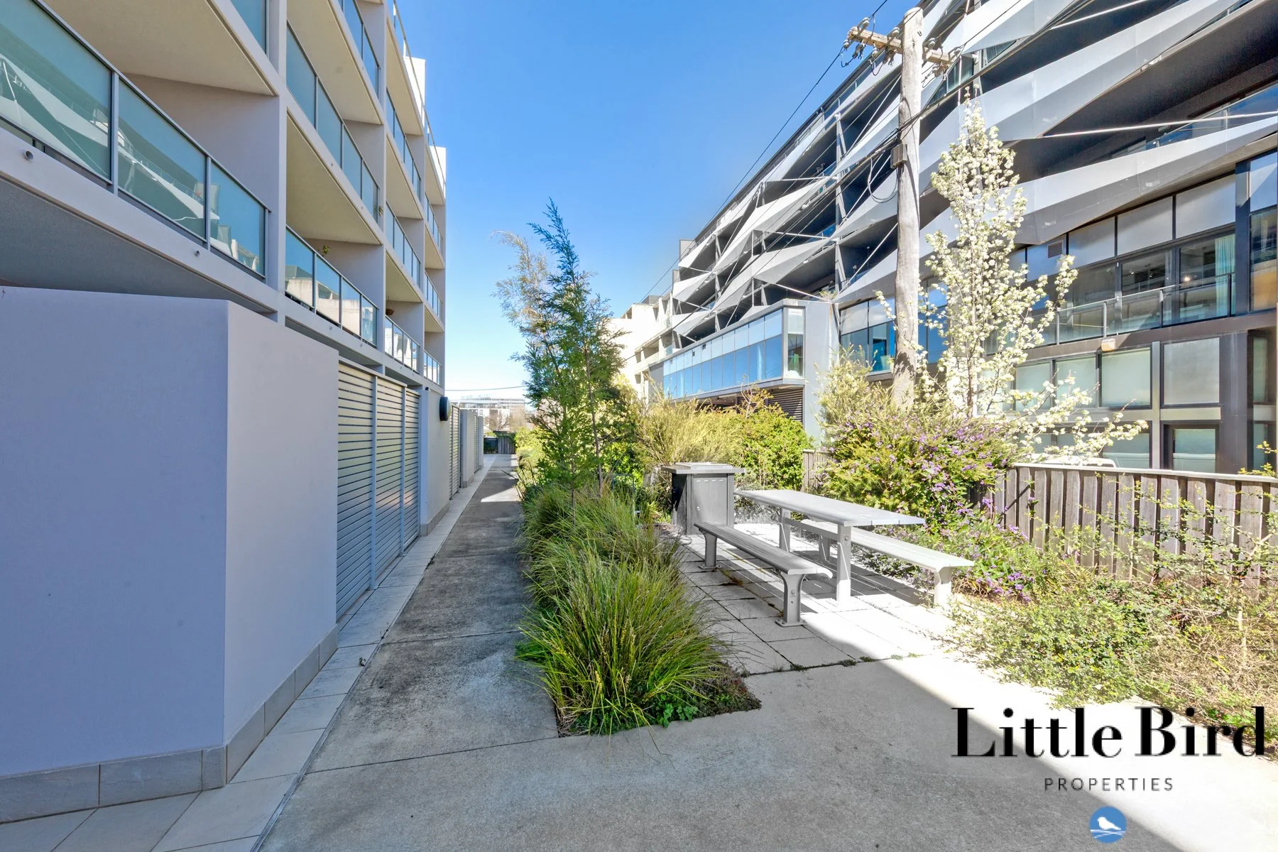 7_35 Torrens st Braddon_13.jpg