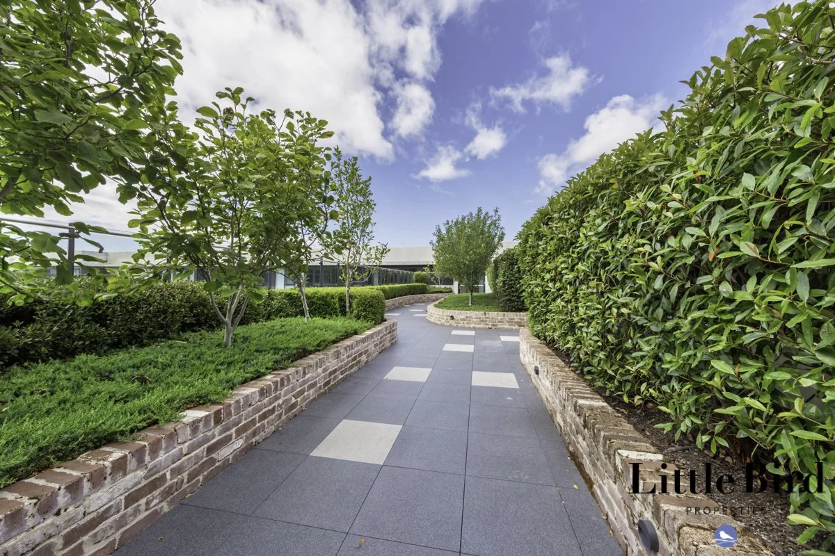 609_4 Anzac Park Campbell_15.jpg