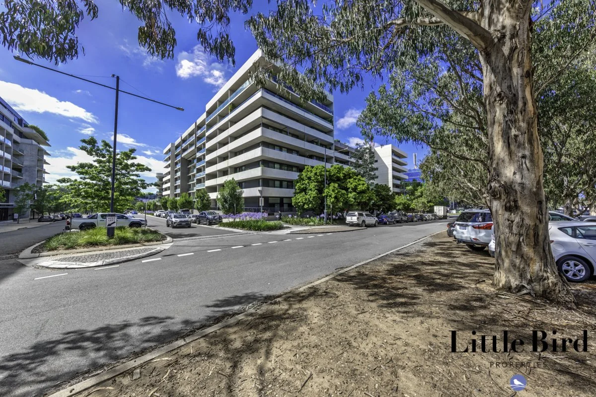 609_4 Anzac Park Campbell_1.jpg