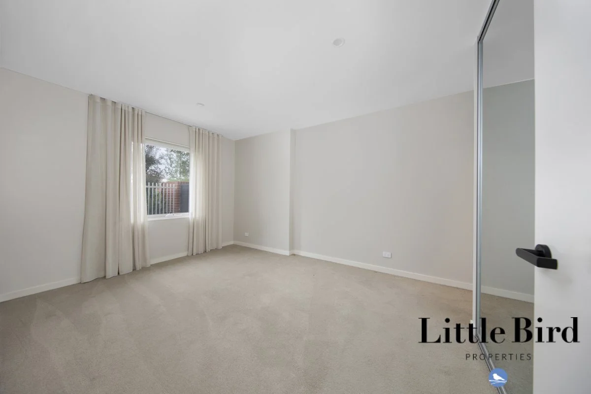 3_16 Bradfield st Downer_7.jpg