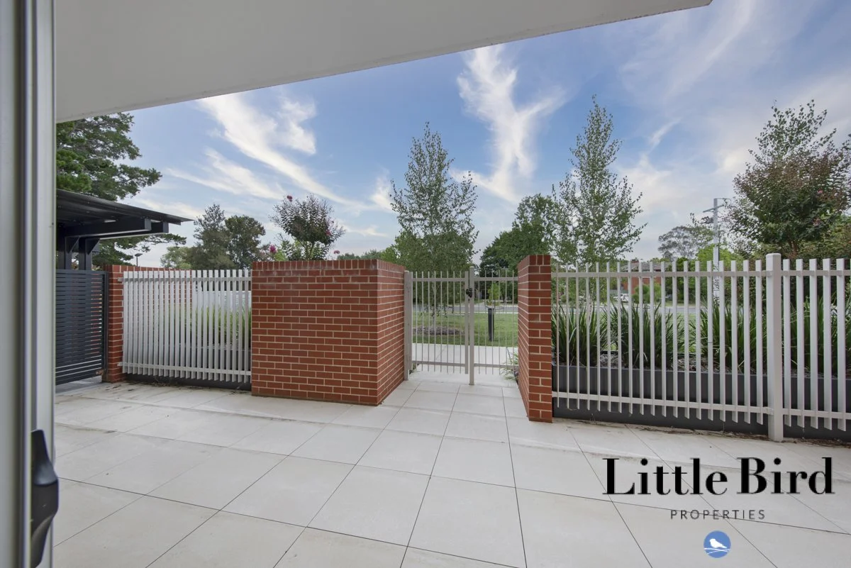 3_16 Bradfield st Downer_12.jpg