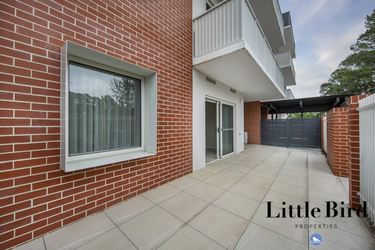 3_16 Bradfield st Downer_13.jpg