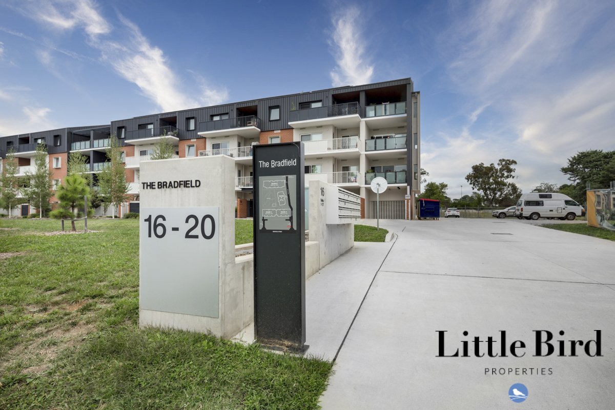 3_16 Bradfield st Downer_1.jpg