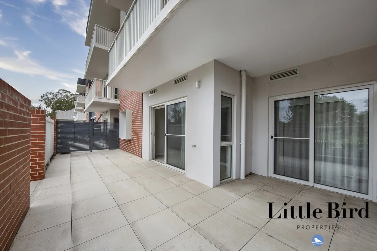 3_16 Bradfield st Downer_14.jpg