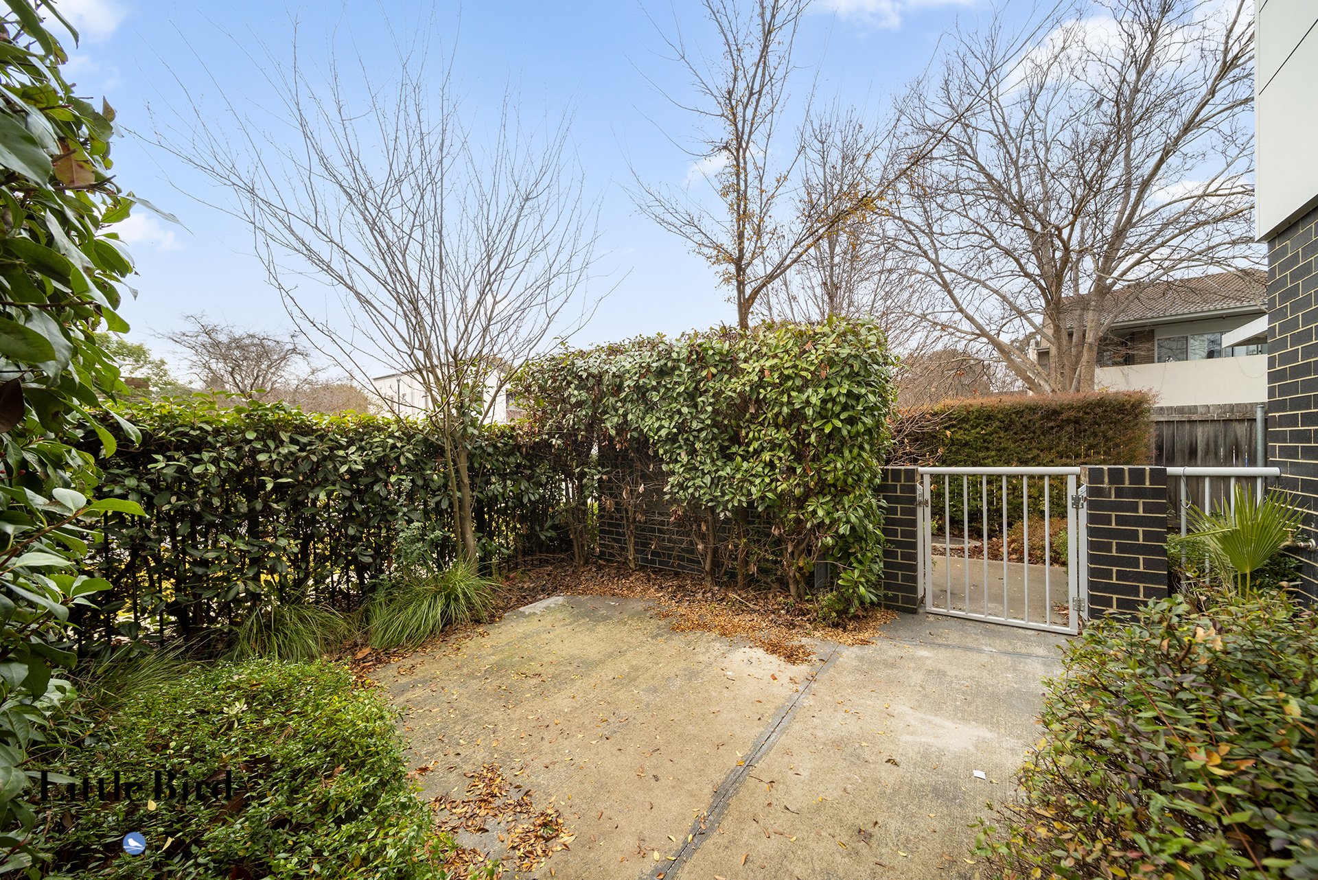 O'Connor 2-3 Bagot Street_04.jpg