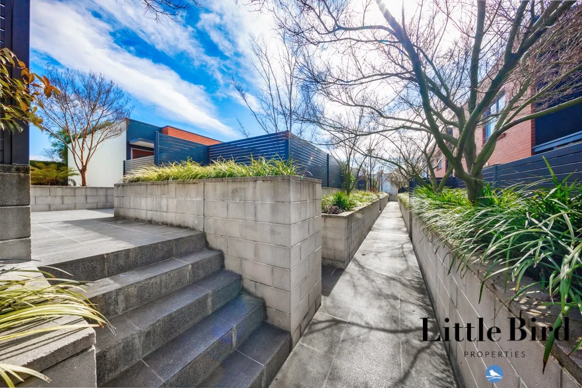 26_56 Stuart St Griffith_3.jpg