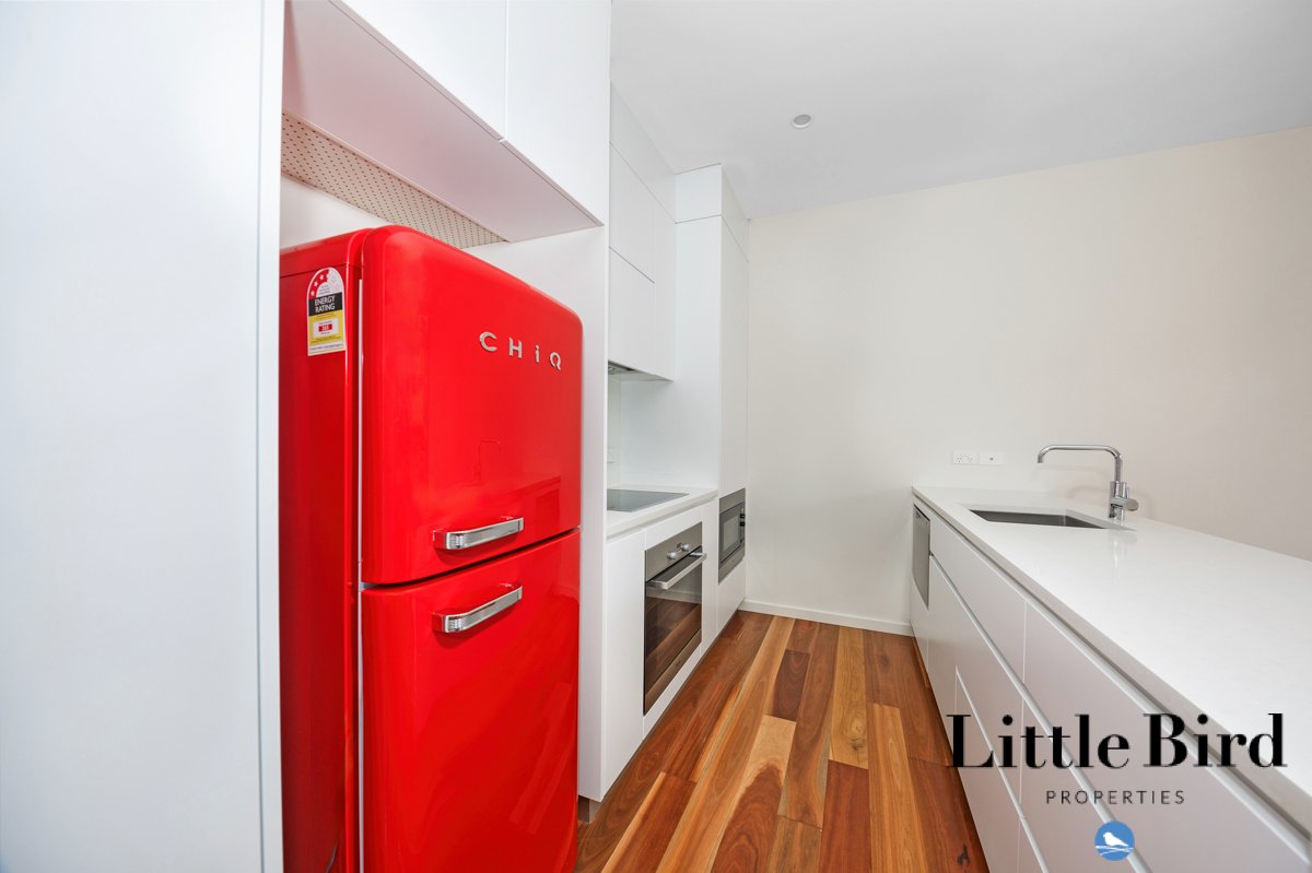 26_56 Stuart St Griffith_8.jpg