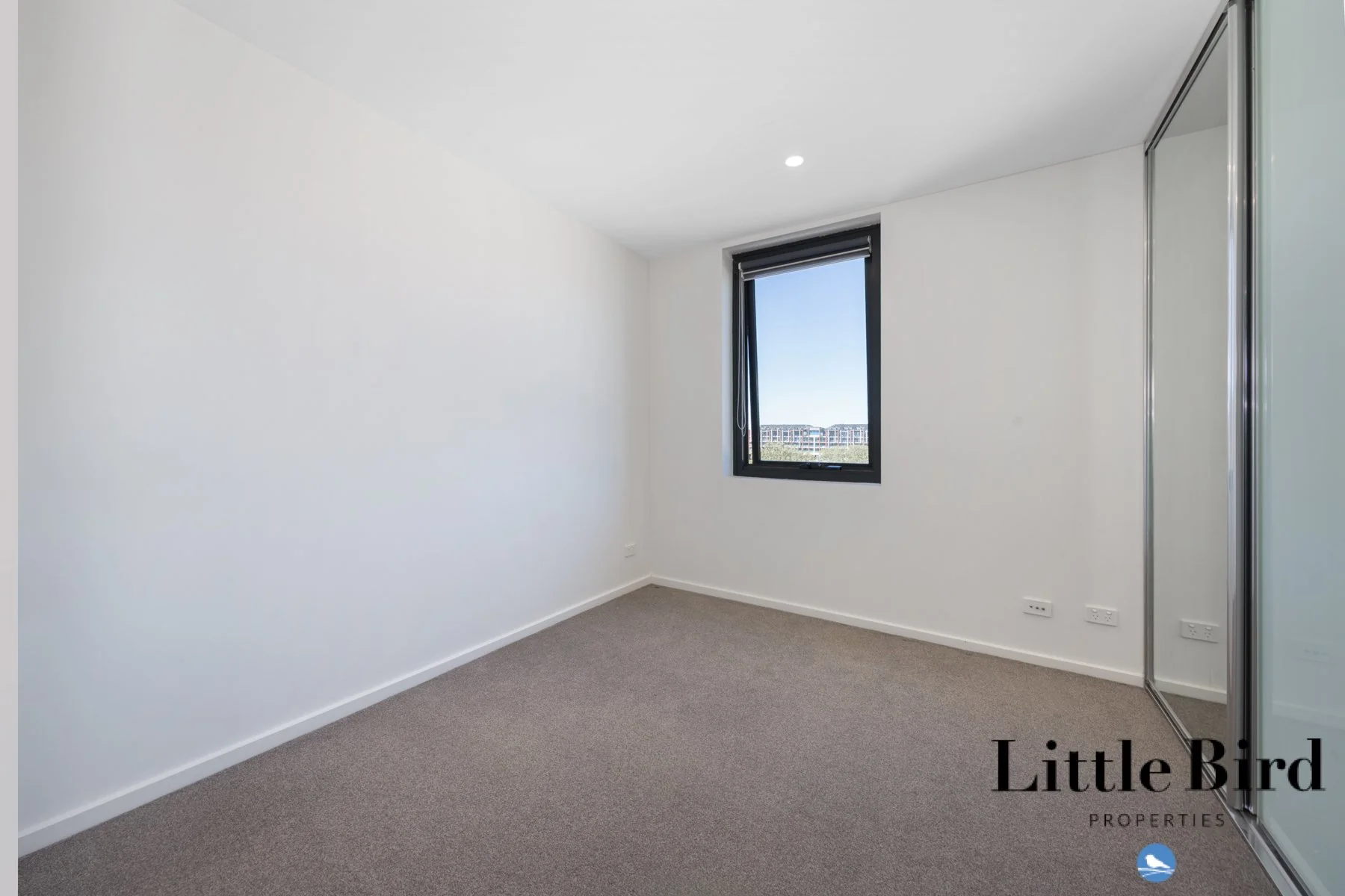 112_26 Antill St Dickson_13.jpg