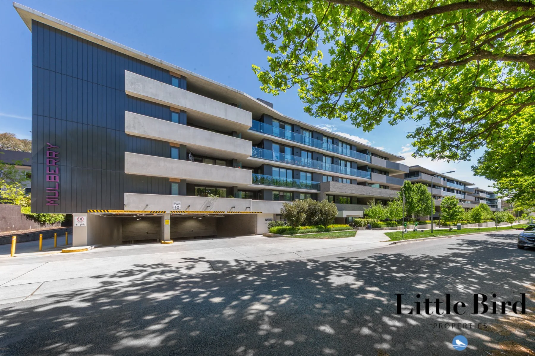 G11_55 Dooring st Dickson_1.jpg
