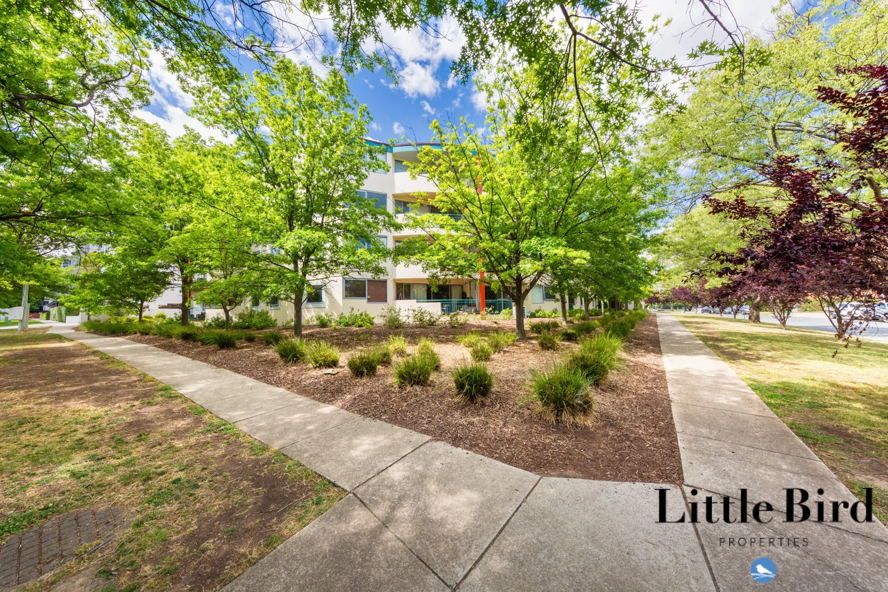 307/107 Canberra Ave Griffith