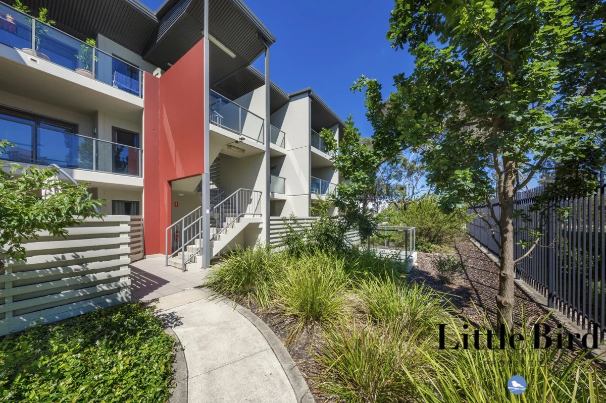157/1 Braybrooke Street Bruce