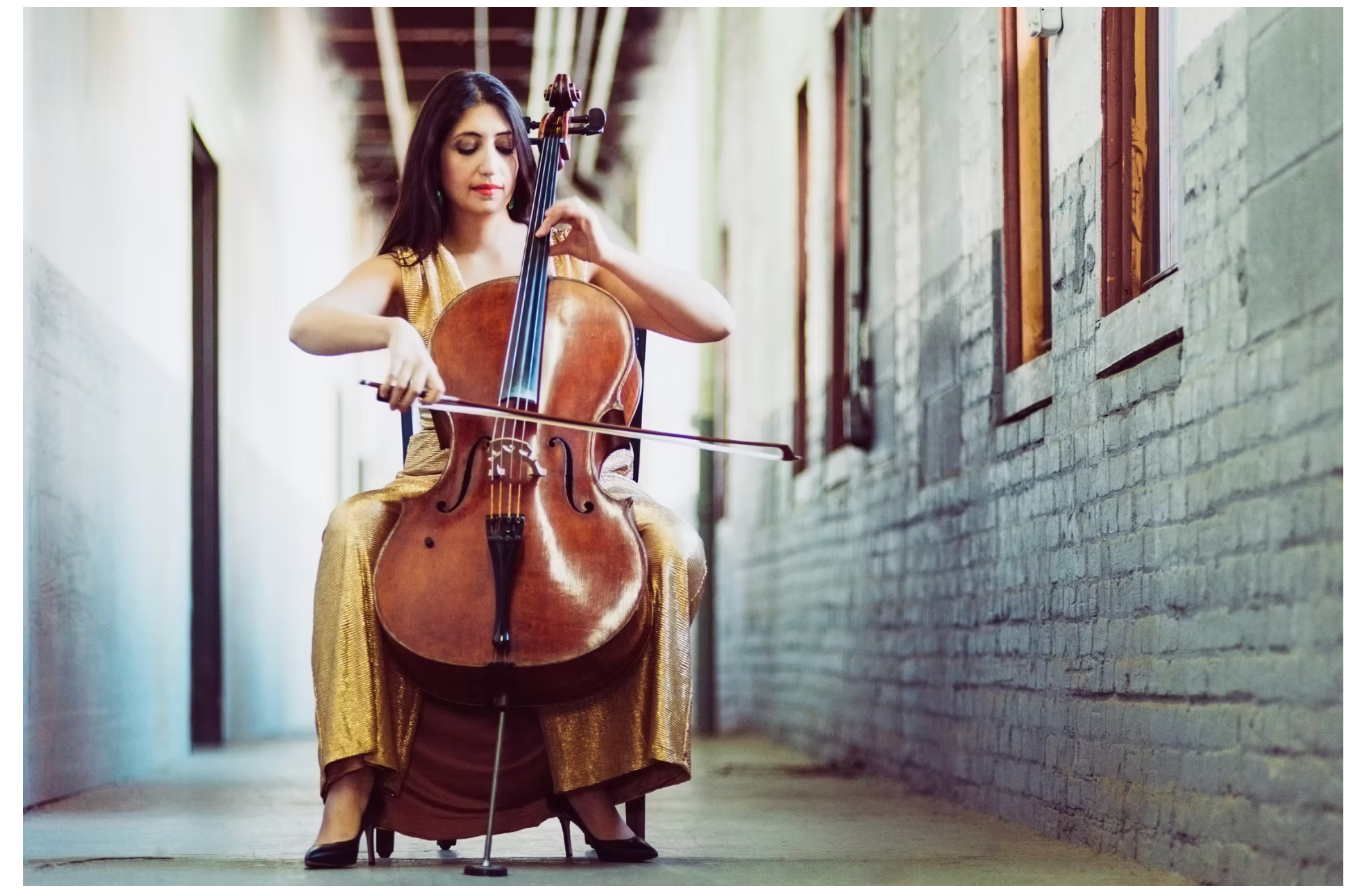 Ani+Cello+Wall.png