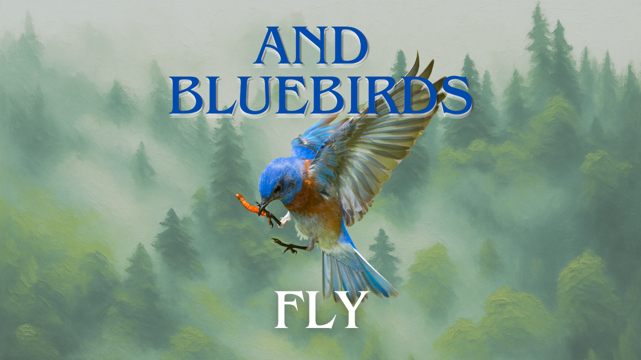 And Blue Birds Fly