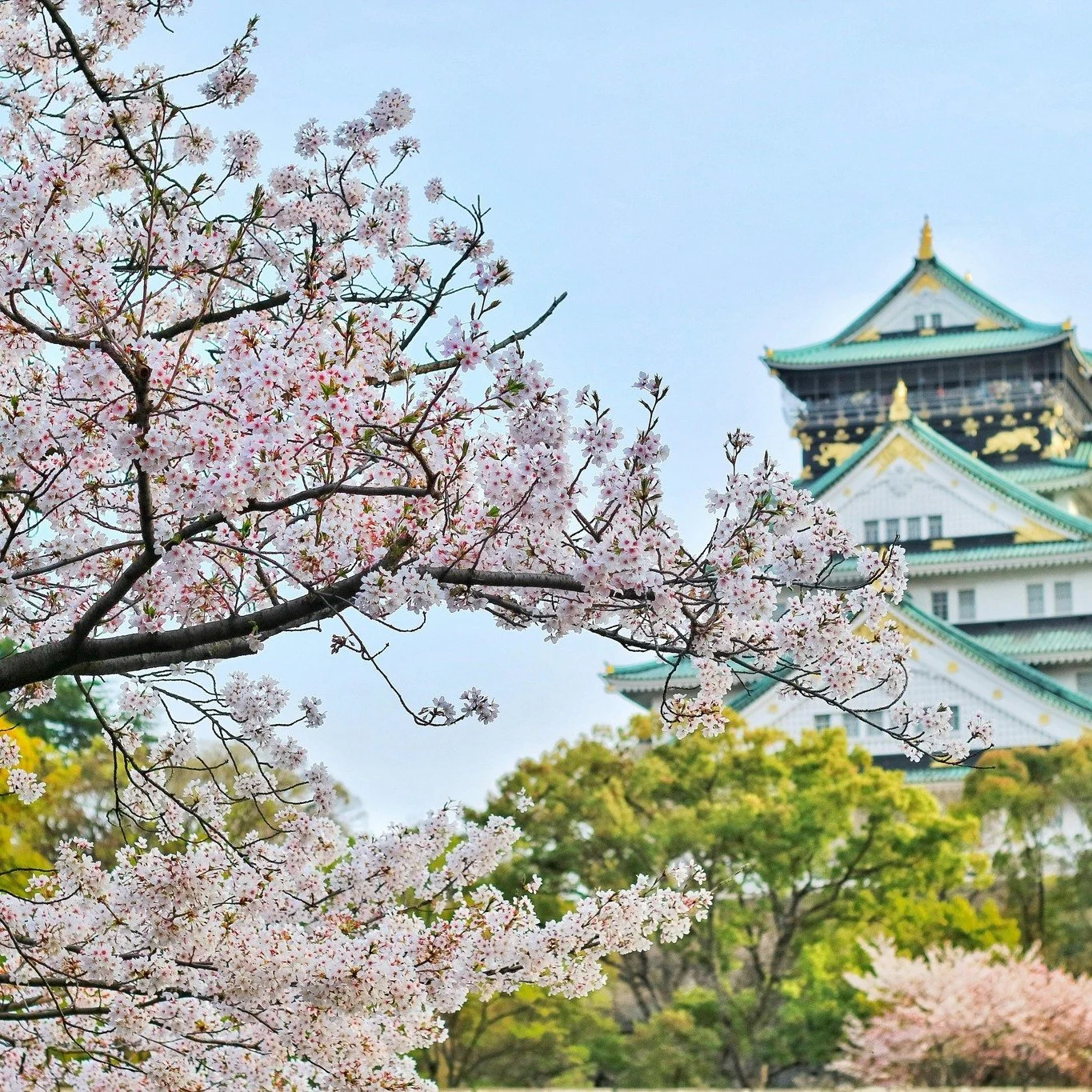 Osaka is Japan's brash and bustling soul.⚡🐙🎡

This vibrant city is a melting pot of cultures, with a lively nightlife, a unique sense of humour, not to mention a passion for baseball. ⚾️

What's on your Osaka bucket list?

#Osaka #Japan #Travel #Ex