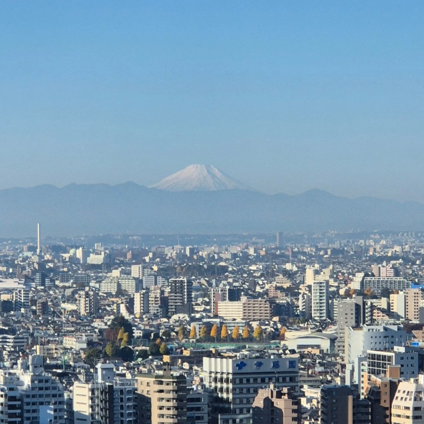Fujisan in all her glory. 🏔

#fujisan #mtfuji #views #roomwithaview #tokyo #visittokyo #japan #japantravel #thejapanconcierge