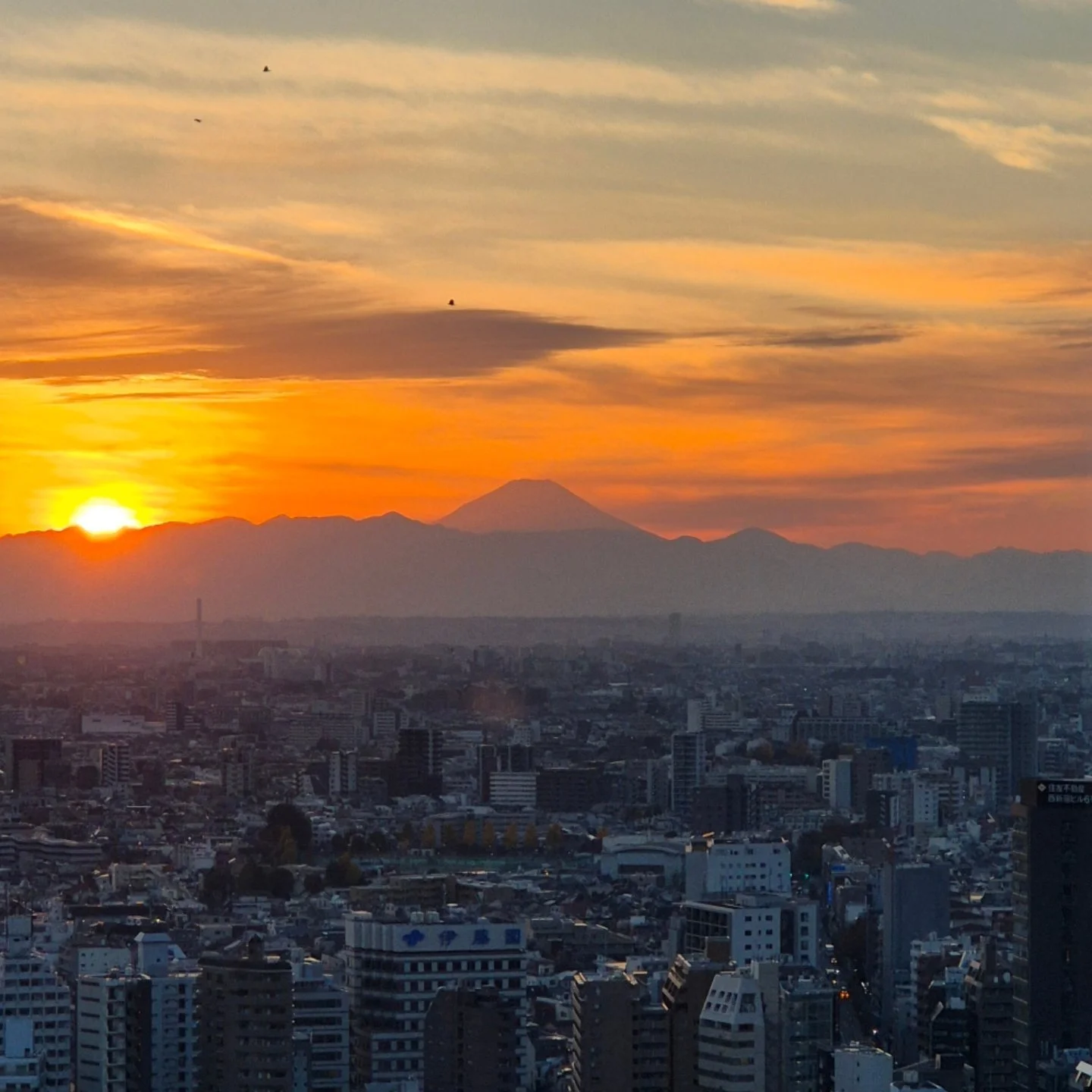 Stunning sunset views over Fujisan 🌅

#mtfuji #views #roomwithaview #tokyo #japan #tokyoadventures #sunset #sunsetvibes #thejapanconcierge