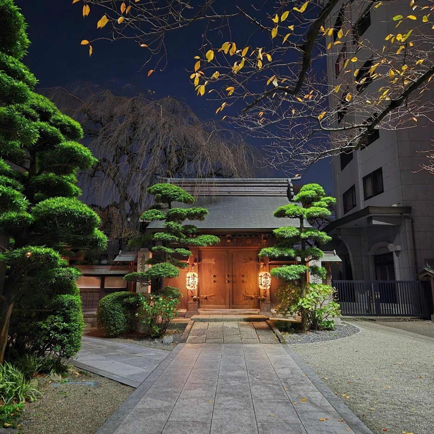 Tokyo might be a bustling metropolis, but it's also full of serene spots like this one in Shinjuku. 

#nofilter #tokyo #exploretokyo #streetphotography #streetsoftokyo #shinjuku #japan #japantravel #thejapanconcierge