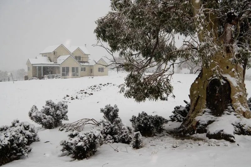 The Willows Snow Image.jpeg