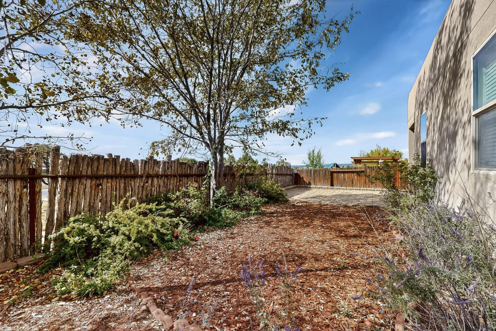 60-3D-Casas-3818-Montana-Verde-Rd-10232025_113548.jpg