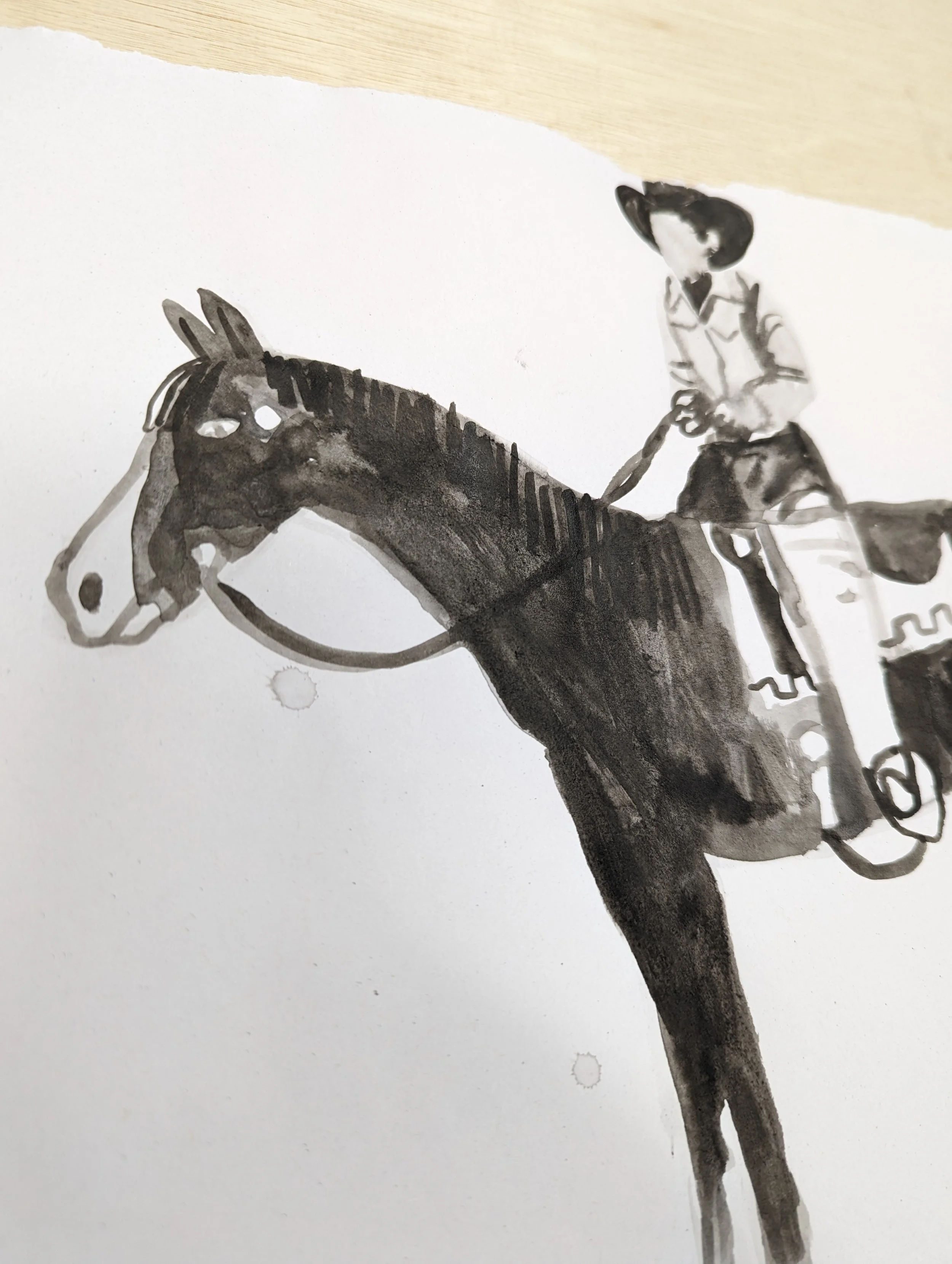 cowboy 3.2.jpg