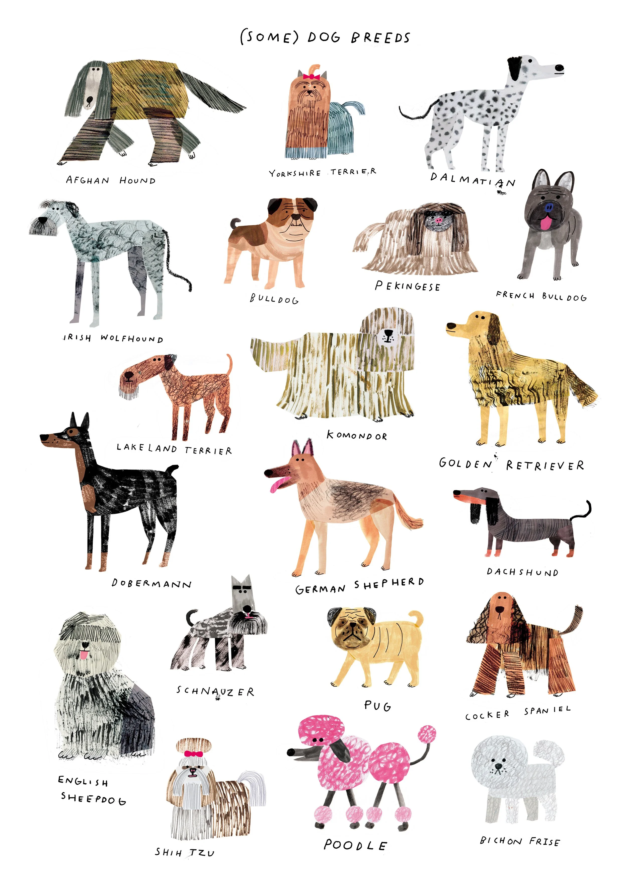 Dog Breeds A3.jpg