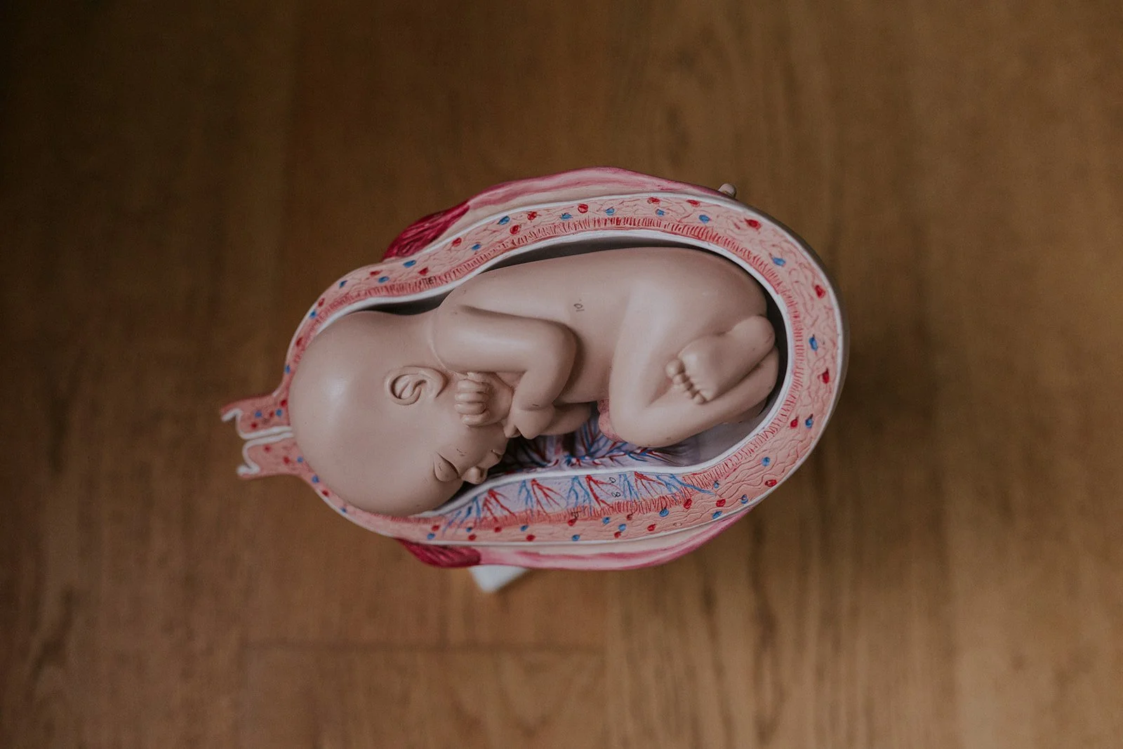 Vroedvrouw Groepspraktijk Goetsenhoven-112.jpg