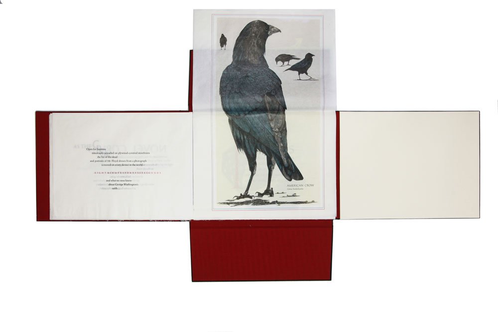 American Crow, 2021 (Copy)