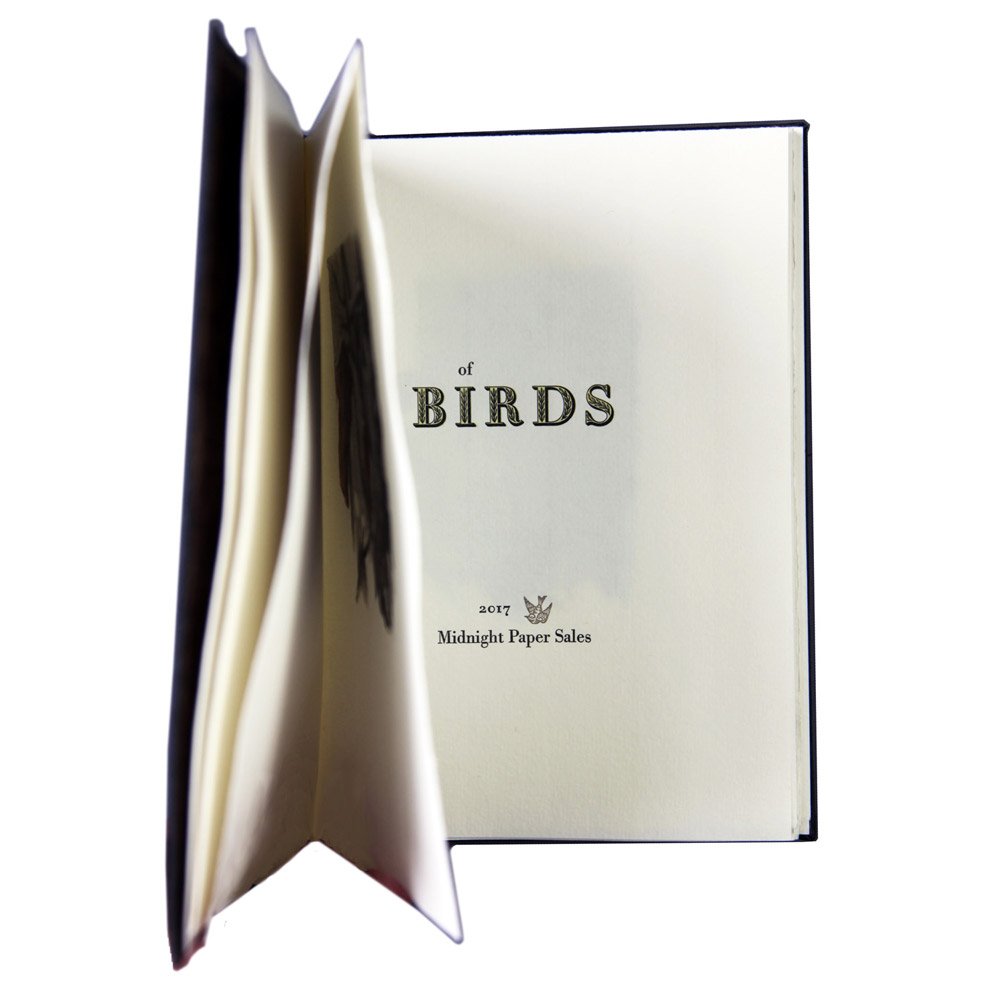 A Little Book of Birds, 2017 (Copy) (Copy) (Copy)